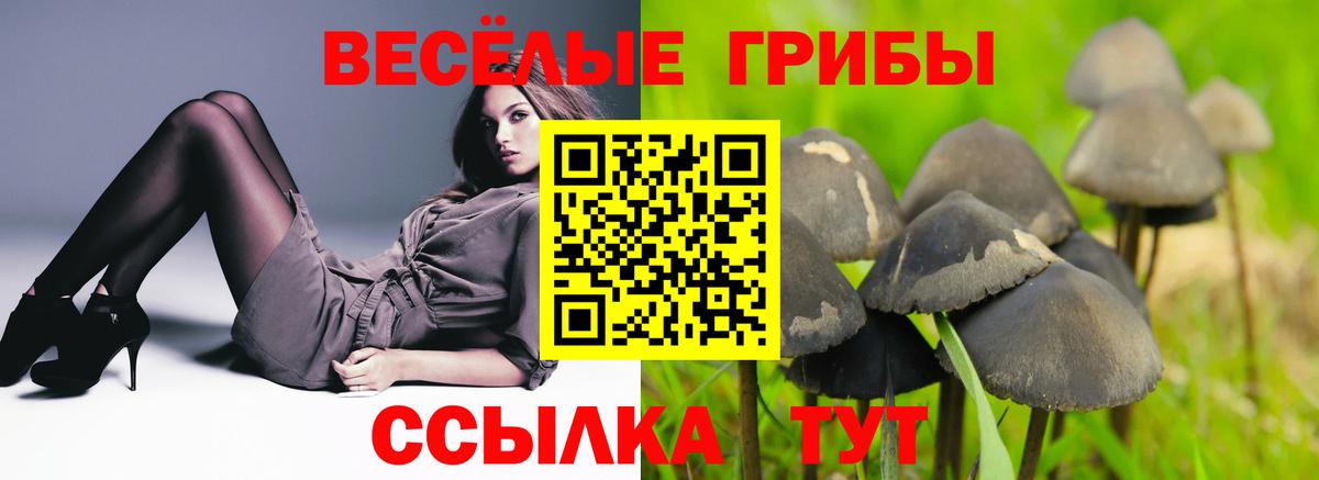 Псилоцибиновые грибы мицелий Десногорск